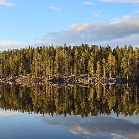Vila Gerika 1 Enonkoski